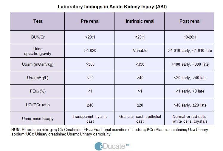 Acute Kidney Injury (AKI) eDucate Health